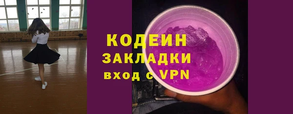 молекула духа Арсеньев