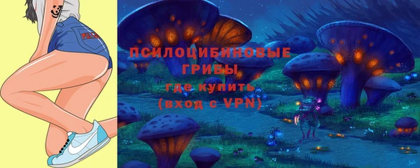 молекула духа Арсеньев