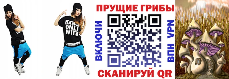 Галлюциногенные грибы MAGIC MUSHROOMS  купить закладку  Суоярви 